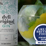 Gin & tonic. Best British Gin award.