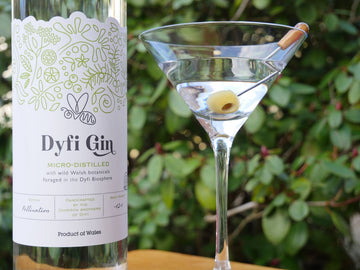 Dyfi Gin in the USA