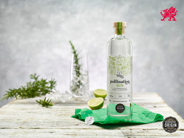 UNESCO valley in Wales gets protected geographical status …. for gin!