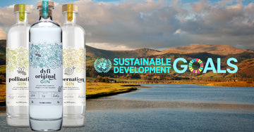 Dyfi Distillery & the UN Sustainable Development Goals
