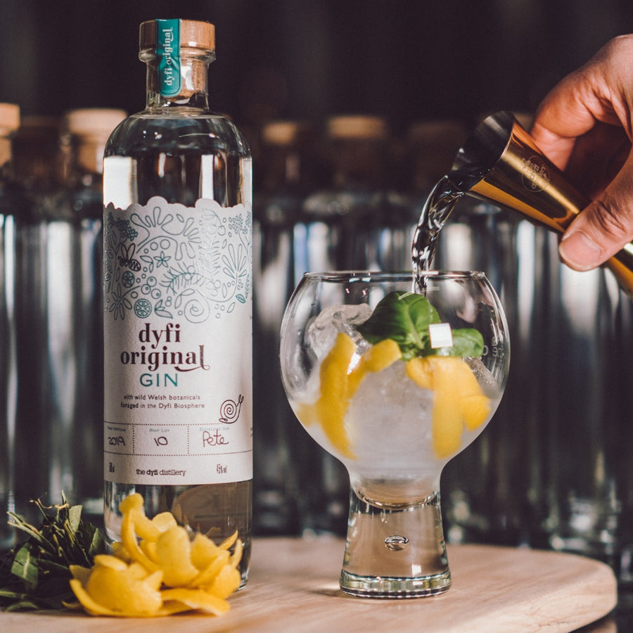 Dyfi Original Gin and Tonic