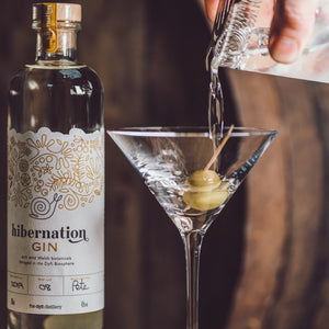 Martini with Barrel-Aged Hibernation Gin